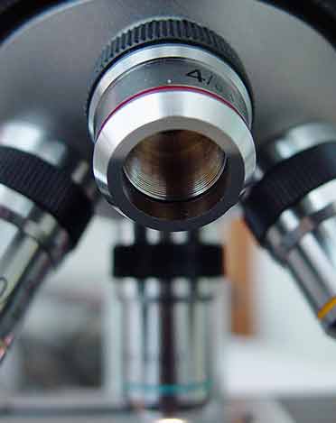 Close-up of a microscope