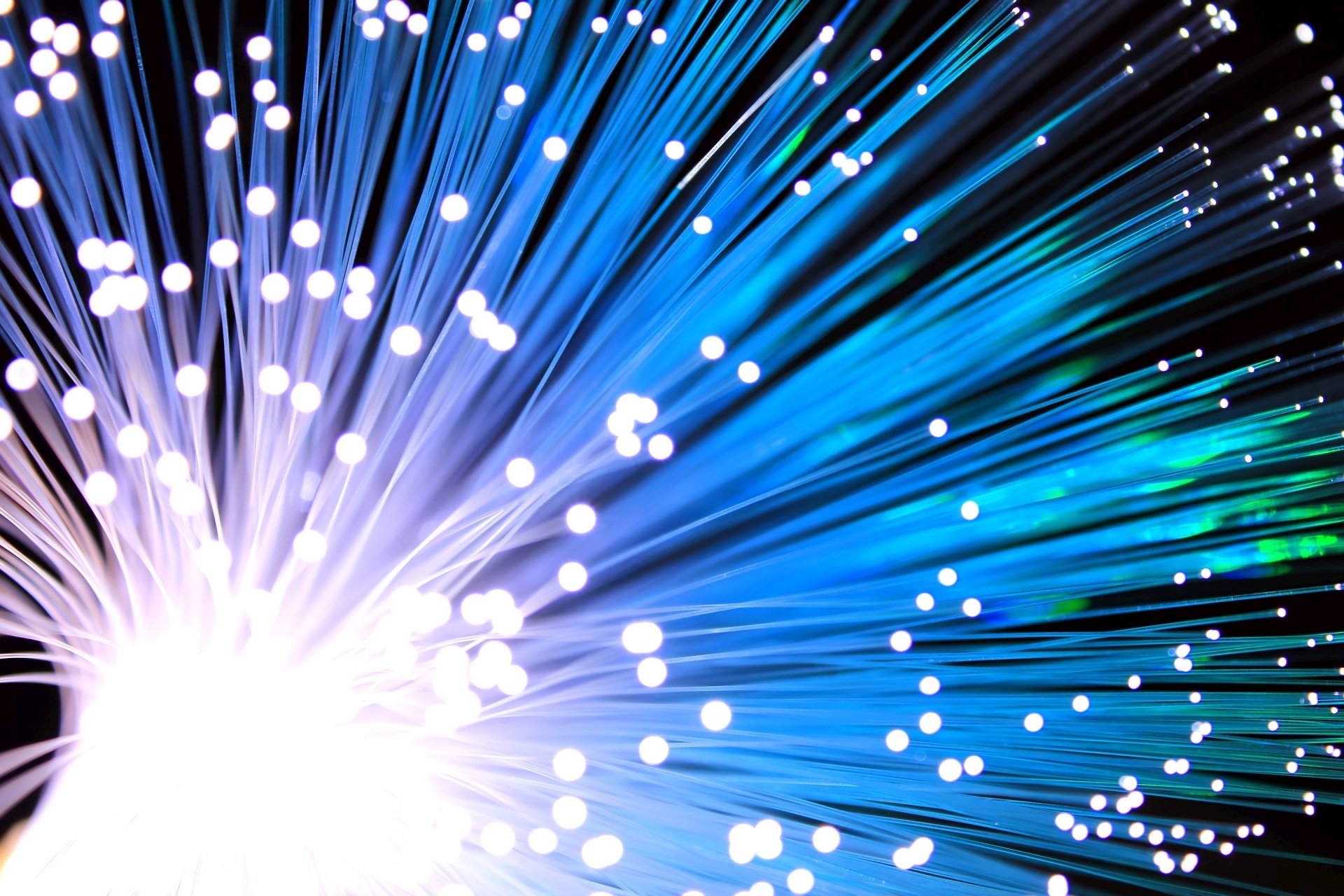 Network Equipment